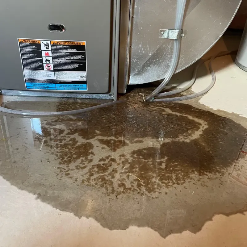 Appliance Leak Cleanup in Winchester, OH